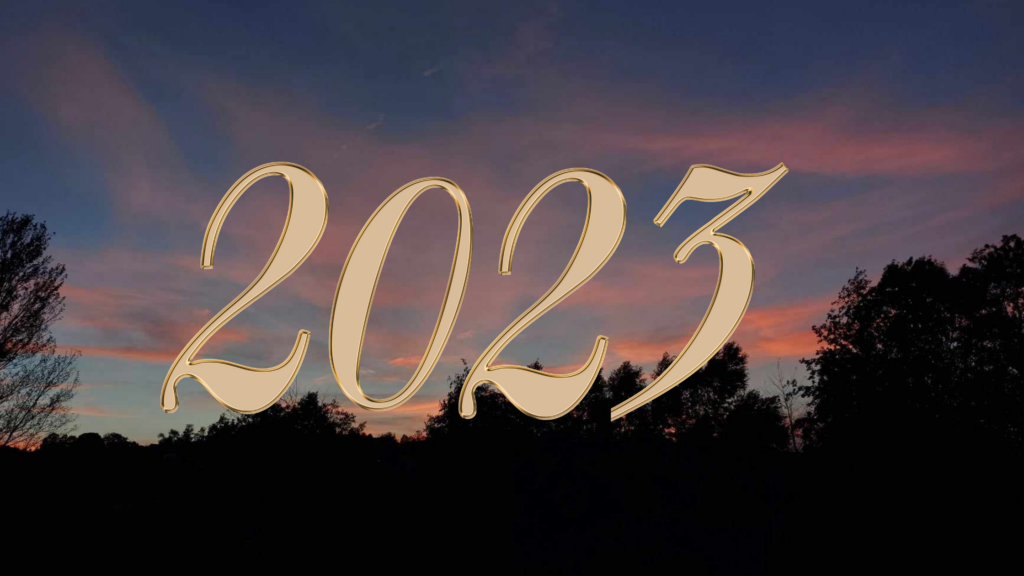Rok 2023