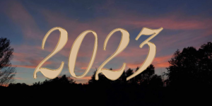 Rok 2023